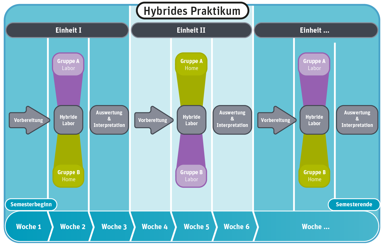 Schematische Darstellung hybrides Praktikum