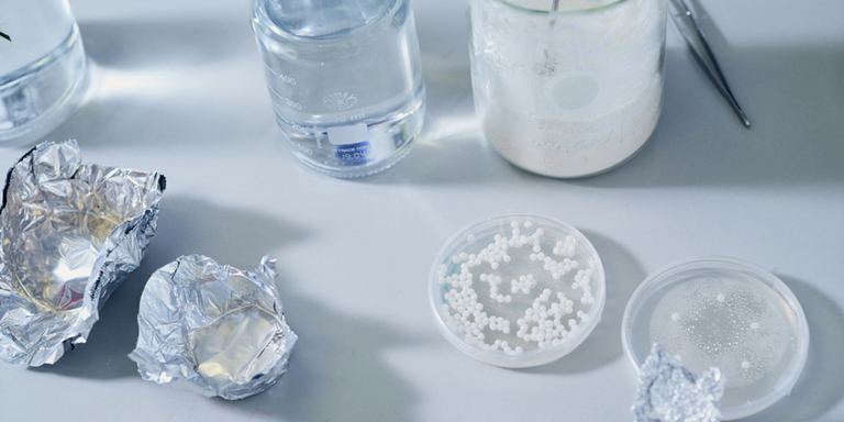 Auf einem Labortisch sind Petrischalen mit Pilzen sowie mit Flüssigkeit gefüllte Messbecher zu sehen