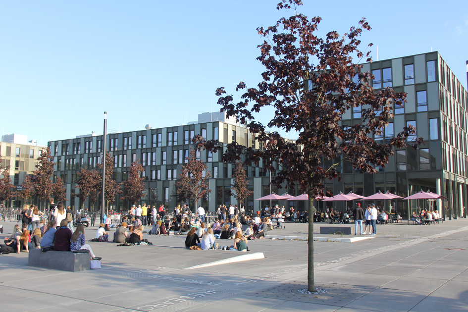 Studierende sitzen vor dem Hauptgebäude in der Sonne